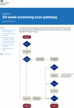 20-week screening scan pathway [Updated 4th May 2021]